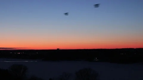 Birds Flying with Sunset in Background Foreground Silhouette 動画素材 126556624