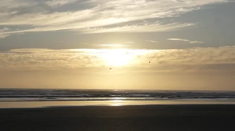 Birds flying at Sunset on the Beach Stock Footage 52026006