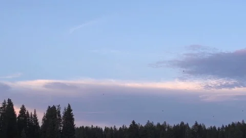 Birds Flying in the Sunset Stockbeeldmateriaal 86487889