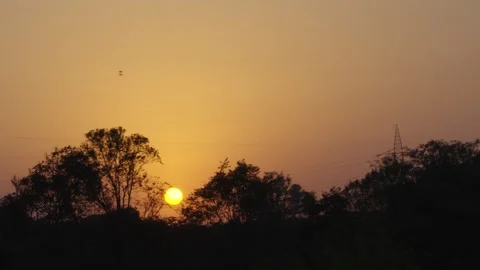 Birds flying in the sunset Video stock 324457141
