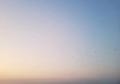 Birds Flying Into Sunset Stock Photos