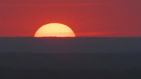Birds flying by sunset sky background Video stock 160268468