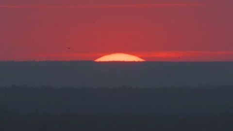 Birds flying by sunset sky background Stock Footage 160268810