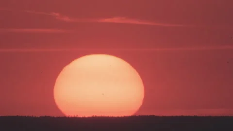 Birds flying by sunset sky background Stock Footage 160268983
