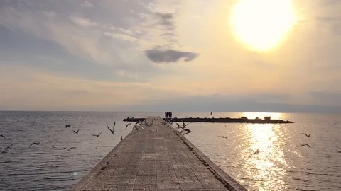 Birds Flying In Super Slow-Mo Stockbeeldmateriaal 103398567