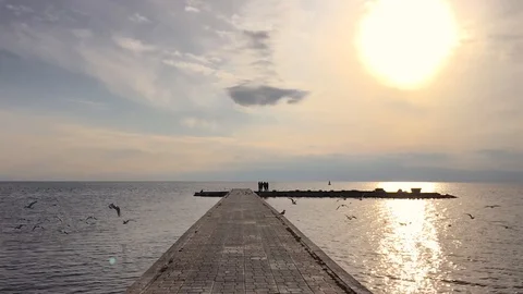 Birds Flying In Super Slow-Mo Stock Footage 103398596