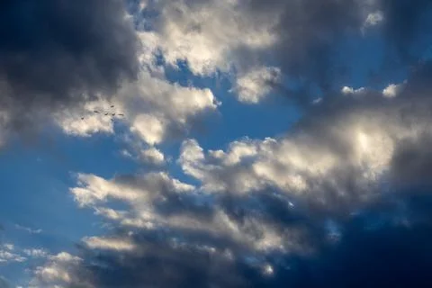 Birds Flying Through Dramatic Clouds 스톡 사진