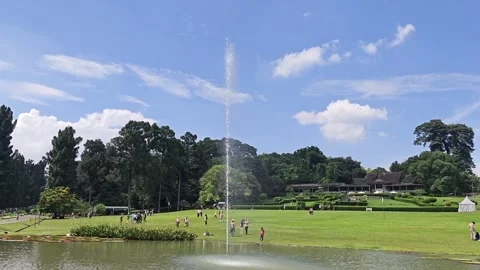 Birds flying through Stock Footage 286917006