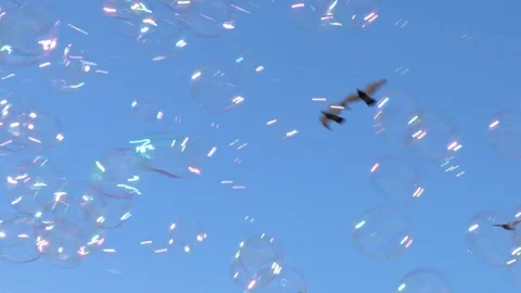 Birds flying through soap bubbles Stock-Footage 128077089