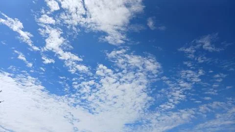 Birds Flying From Tree Against Cloudy Sky 스톡 사진