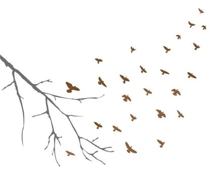Birds flying vector Stock Illustration