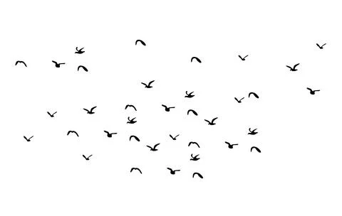 Birds flying vector illustration Stock Illustration