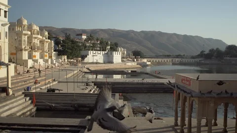 Birds Flyng Stock Footage 111812096