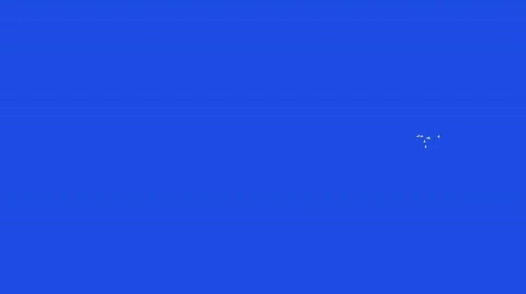 Birds Stock Footage 792379