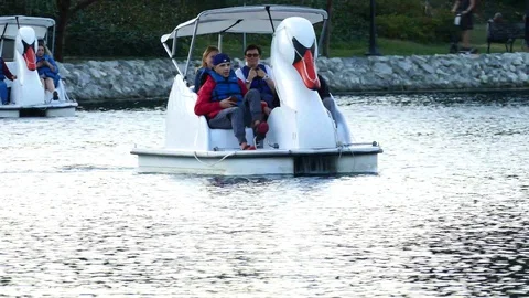 Birds Stock Footage 123947473