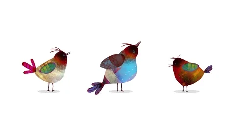 Birds Stock-Footage 125896547