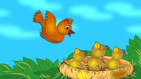 Birds Stock Footage 135216756