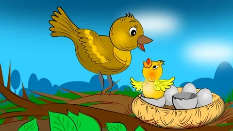 Birds Stock Footage 135216779