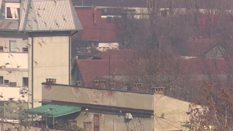 Birds Stock Footage 302582849