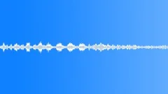 Birds In The Forest #2 Sound Effect