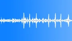 Birds forest #3 Sound Effect