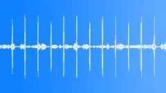 Birds in Forest Background Ambience LoopSound Effect