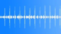 Birds in Forest Background Ambience LoopSound Effect