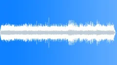 Birds Forest Jungle Ambience 1Sound Effect