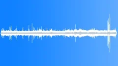 Birds Forest Jungle Ambience 2Sound Effect