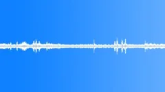 Birds in the forest (recording)Sound Effect