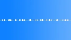 Birds in the forest Sound Effect
