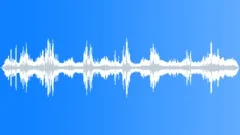 Birds in the forestSound Effect