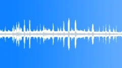 Birds forrest #1 Sound Effect