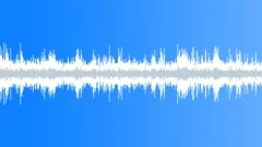 Birds forrest #2 Sound Effect