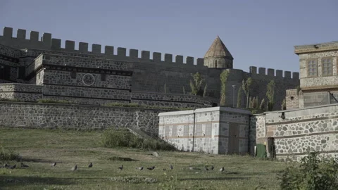 Birds in front of the castle Stock Footage 219557121