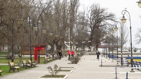 Birds Games Stock Footage 102184271