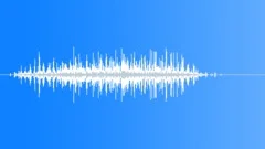 Birds group fly awaySound Effect