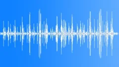Birds On Guqin Stock Music