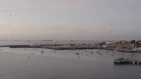 Birds in the harbor Stock Footage 124214175