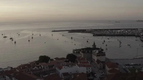 Birds in the harbor  Stock Footage 124222682