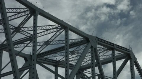 Birds Hovering Around Bridge Stock Footage 68383331