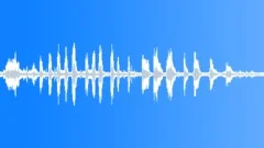 BIRDS IBIS AUSTRALIAN WHITE MIXED HONK03Sound Effect