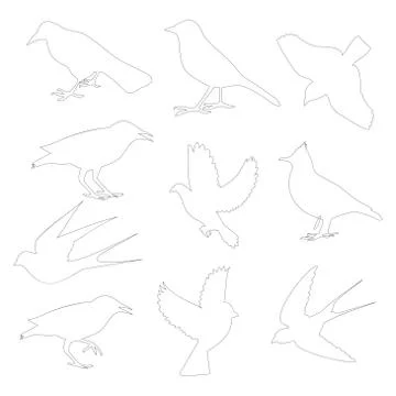Birds icon Stock Illustration
