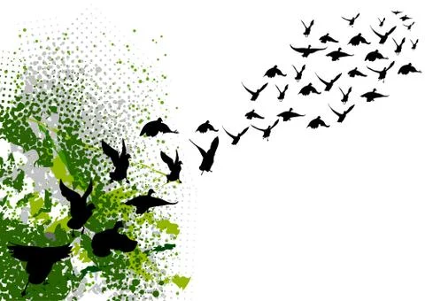 Birds 스톡 일러스트