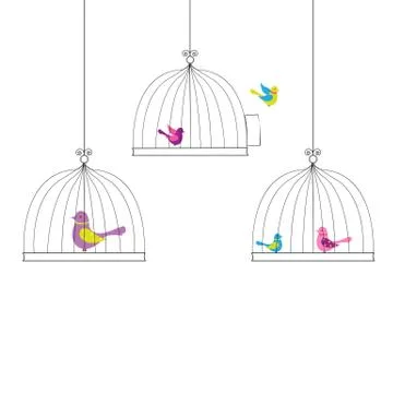 Birds Stock Illustration
