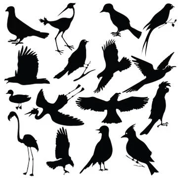 Birds Illustrazione stock