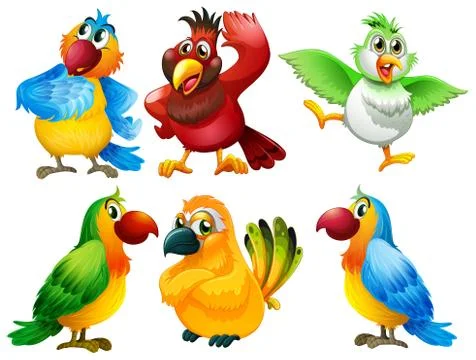 Birds Illustrazione stock