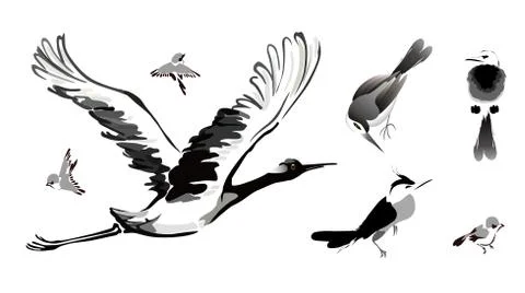 Birds Stock Illustration