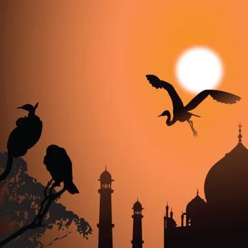 Birds Stock Illustration