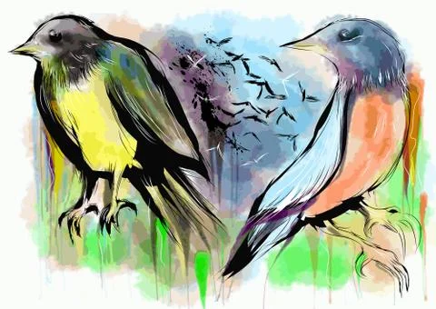 Birds Stock Illustration